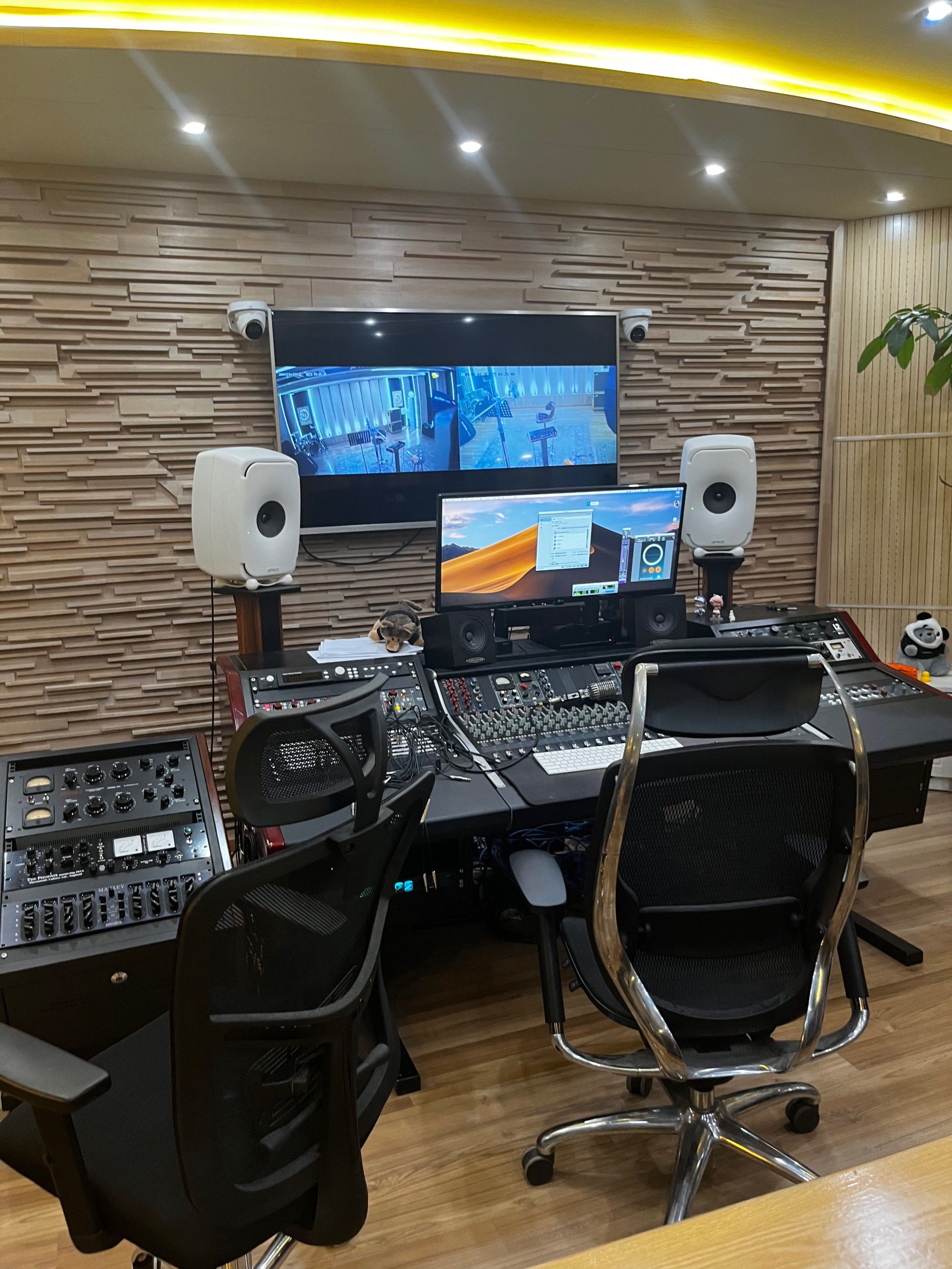 成长为英国音乐圈的巨星